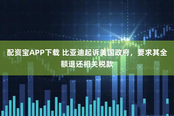 配资宝APP下载 比亚迪起诉美国政府，要求其全额退还相关税款
